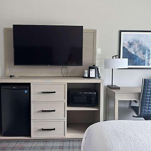 King Suite Sofa Bed Communication Assistance